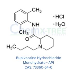 Bupivacaine Hydrochloride Monohydrate - API